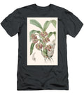 Mormodes Aromatica Sarah Anne Drake T-Shirt