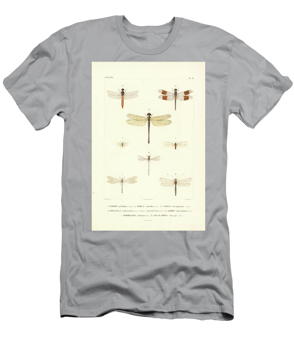 Moths of South America T1 Historic Illustrations T-Shirt