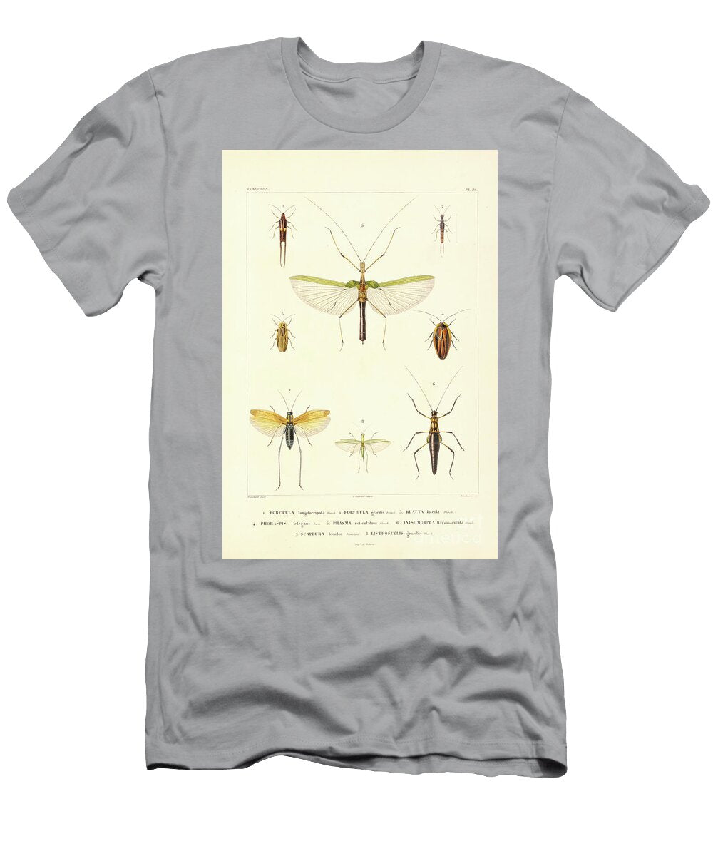 Moths of South America T2 Historic Illustrations T-Shirt