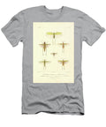 Moths of South America T3 Historic Illustrations T-Shirt