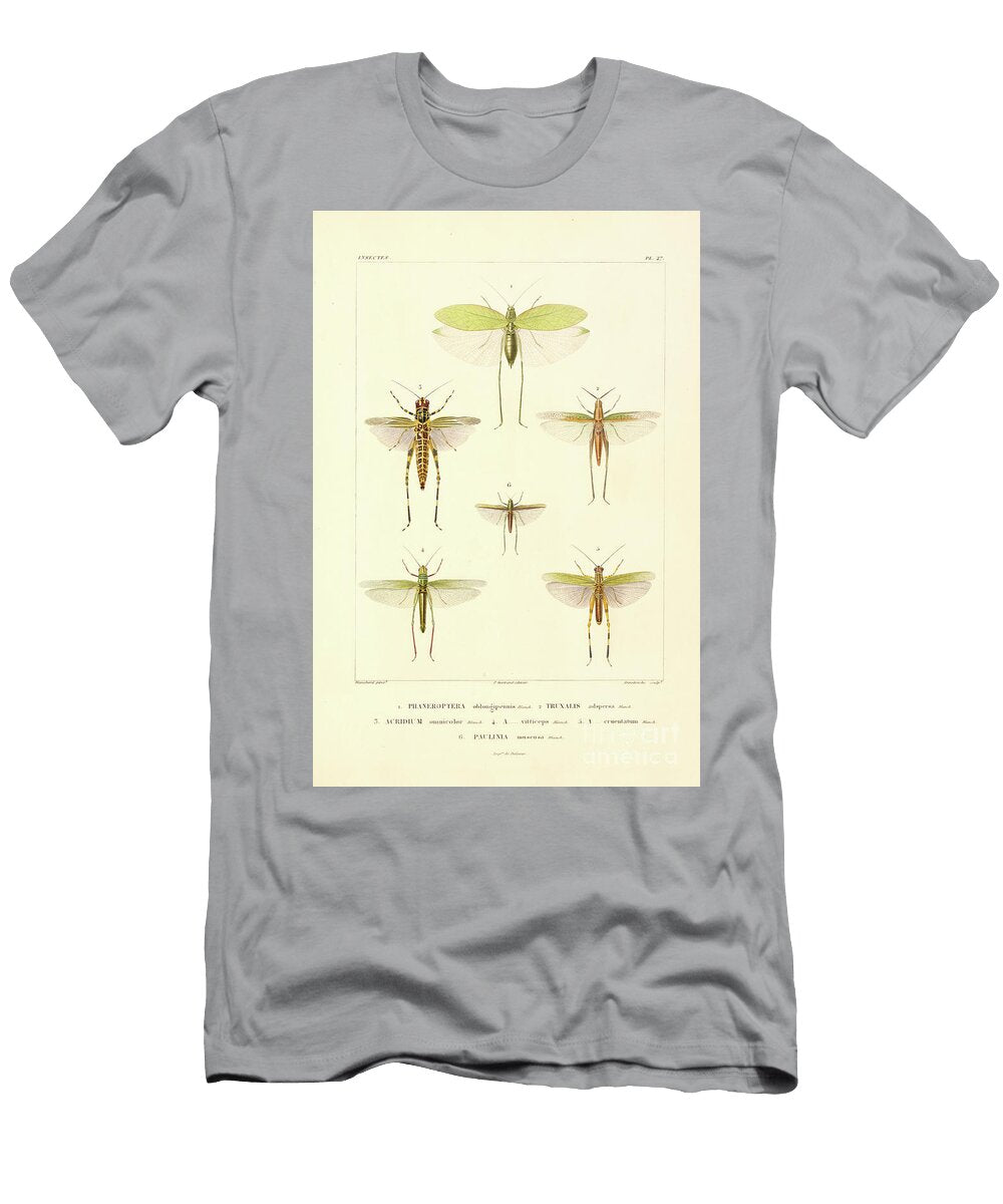 Moths of South America T3 Historic Illustrations T-Shirt