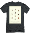 Moths of South America T4 Historic Illustrations T-Shirt