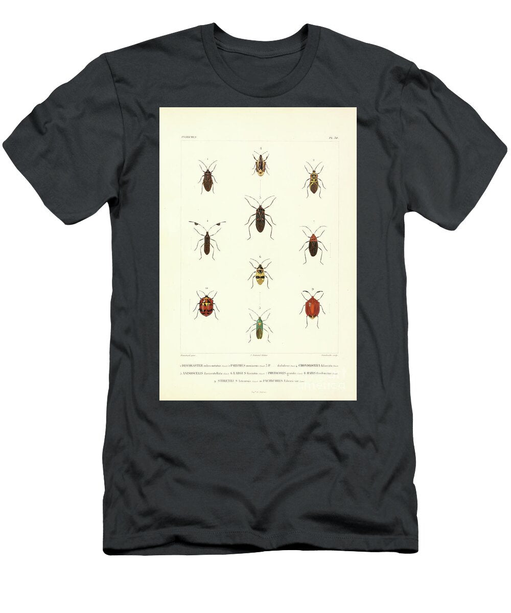 Moths of South America T4 Historic Illustrations T-Shirt