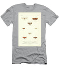 Moths of South America T5 Historic Illustrations T-Shirt