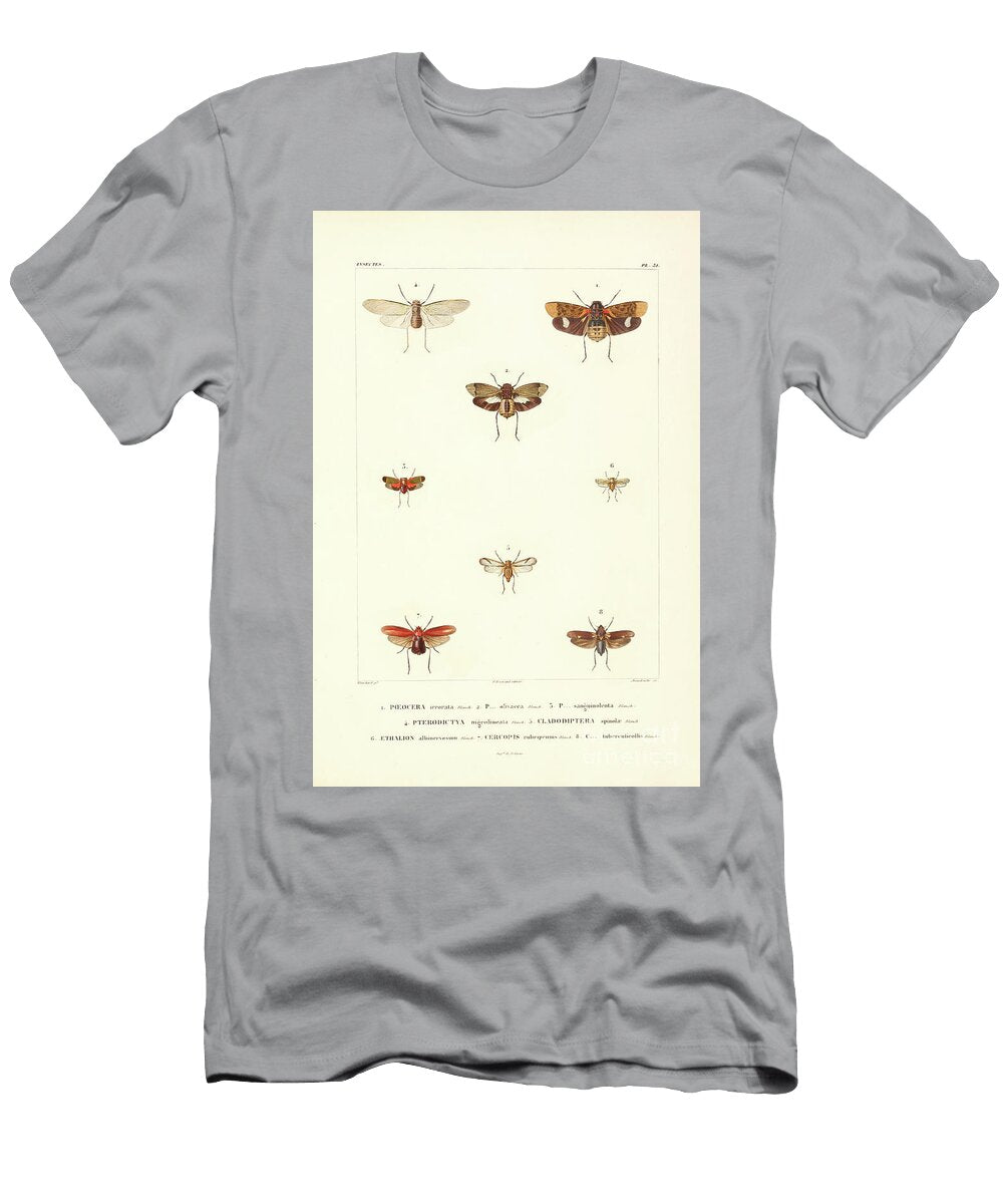 Moths of South America T5 Historic Illustrations T-Shirt