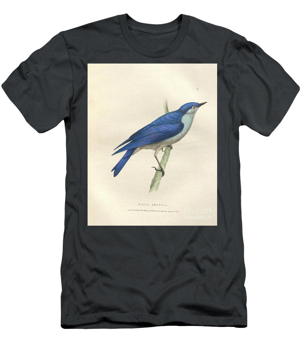 Mountain Bluebird Sialia Currucoides O1 Historic Illustrations T-Shirt