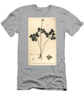 Muskroot Adoxa Moschatellina Tetragynia Flower 1 and Pistilla 23 Sydenham Teast Edwards T-Shirt