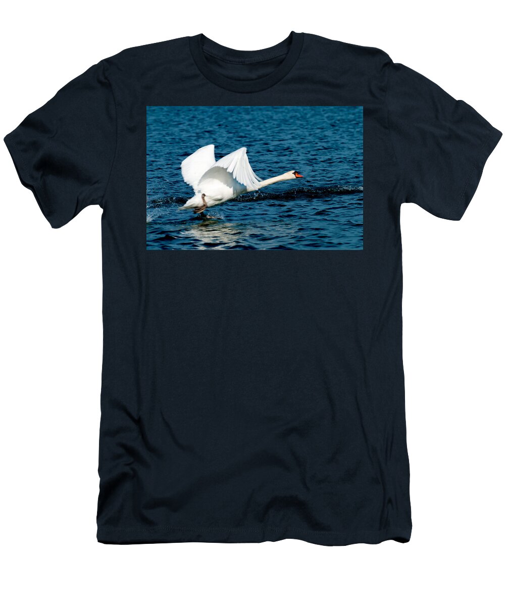 Mute Swan Gaining Momentum Randall Branham T-Shirt