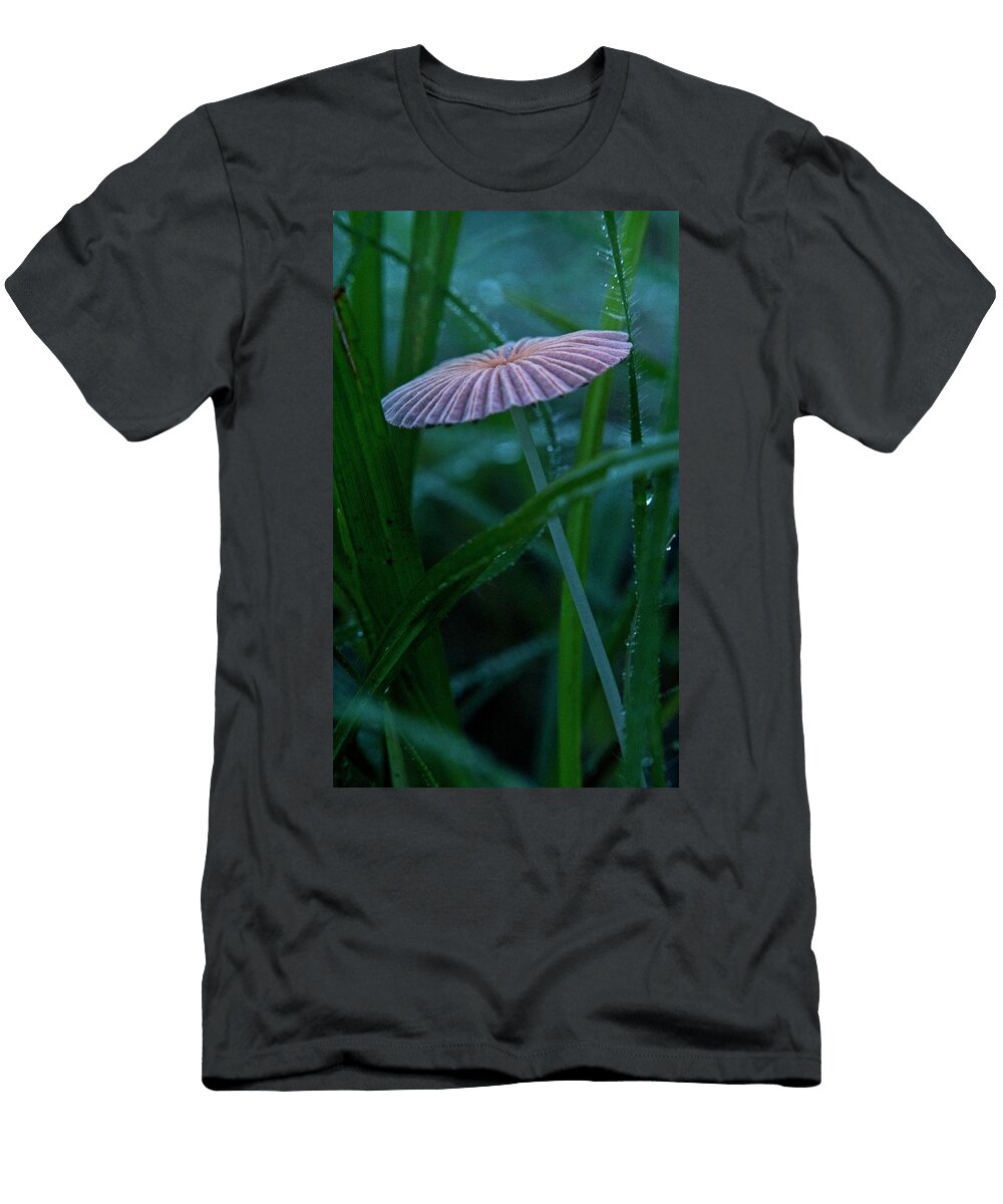 Mystery Mushroom 1 Douglas Barnett T-Shirt