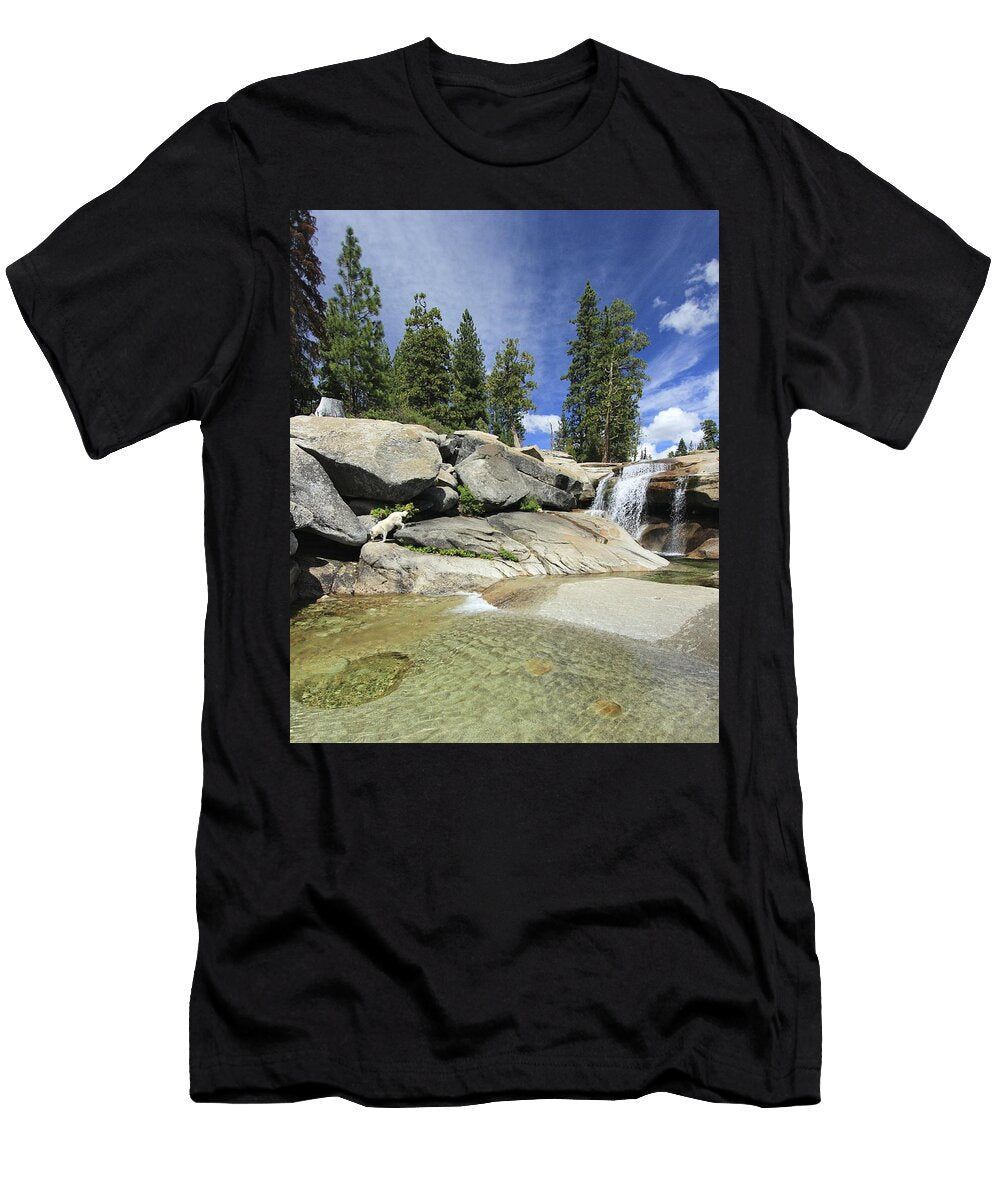 Nirvana Sean Sarsfield T-Shirt