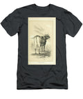 Norman Cow Q1 Historic Illustrations T-Shirt