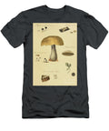 North American Fungi B14 Botany T-Shirt