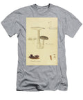 North American Fungi B2 Historic Illustrations T-Shirt