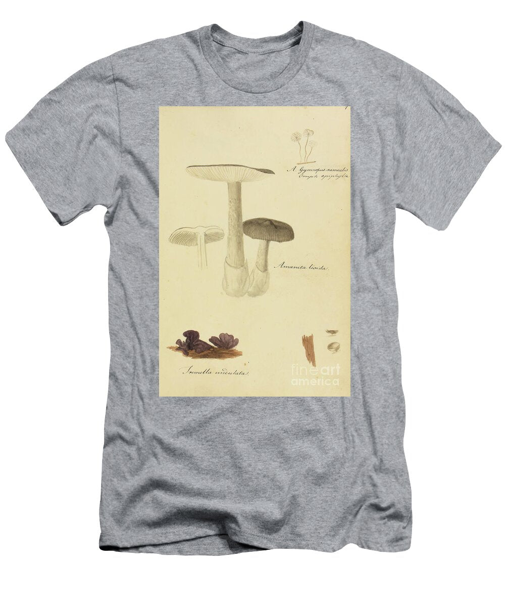 North American Fungi B2 Historic Illustrations T-Shirt