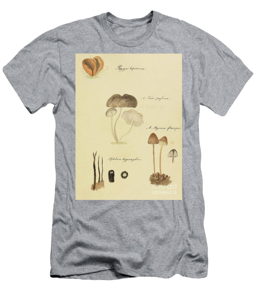 North American Fungi B4 Historic Illustrations T-Shirt