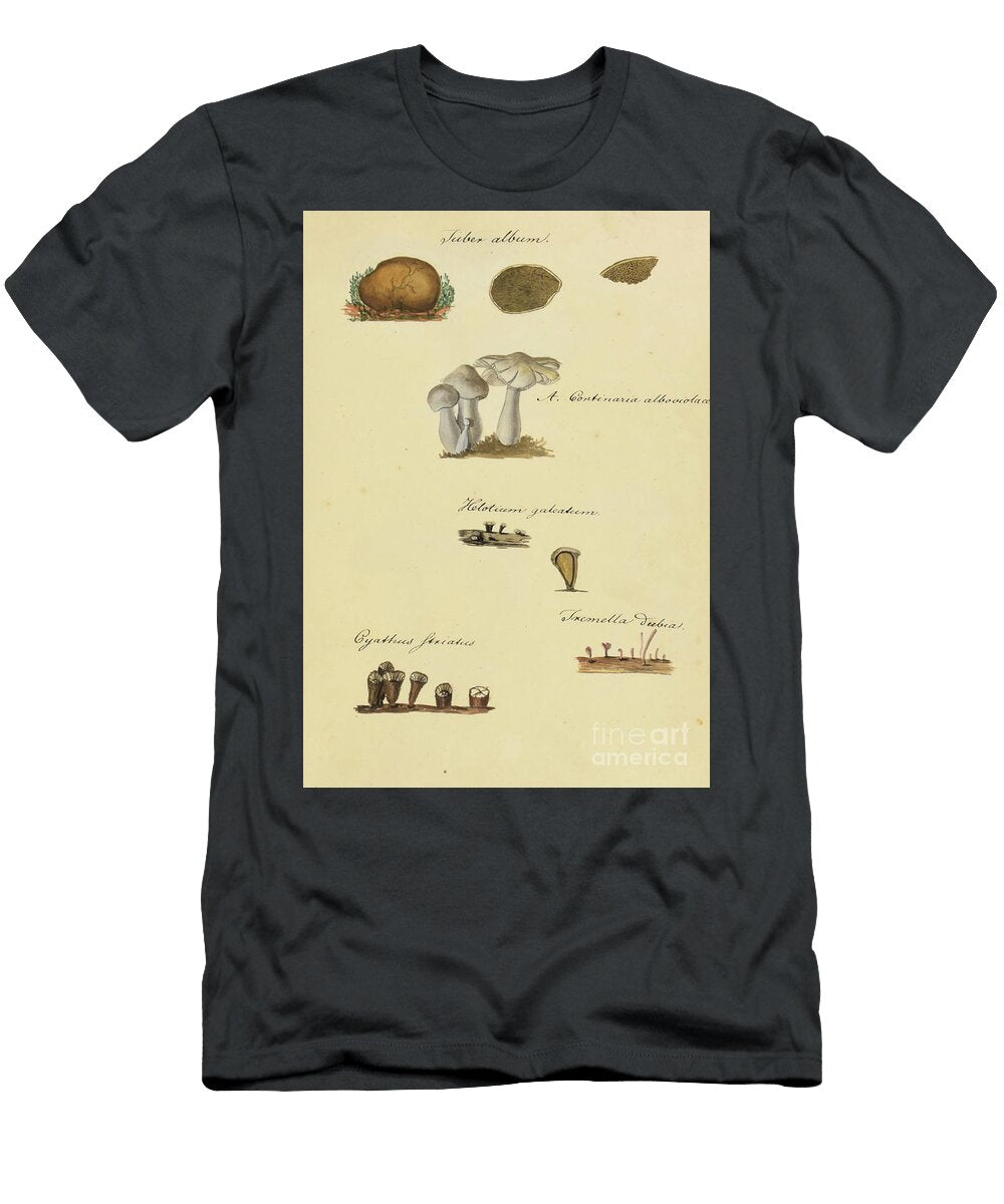 North American Fungi B8 Botany T-Shirt