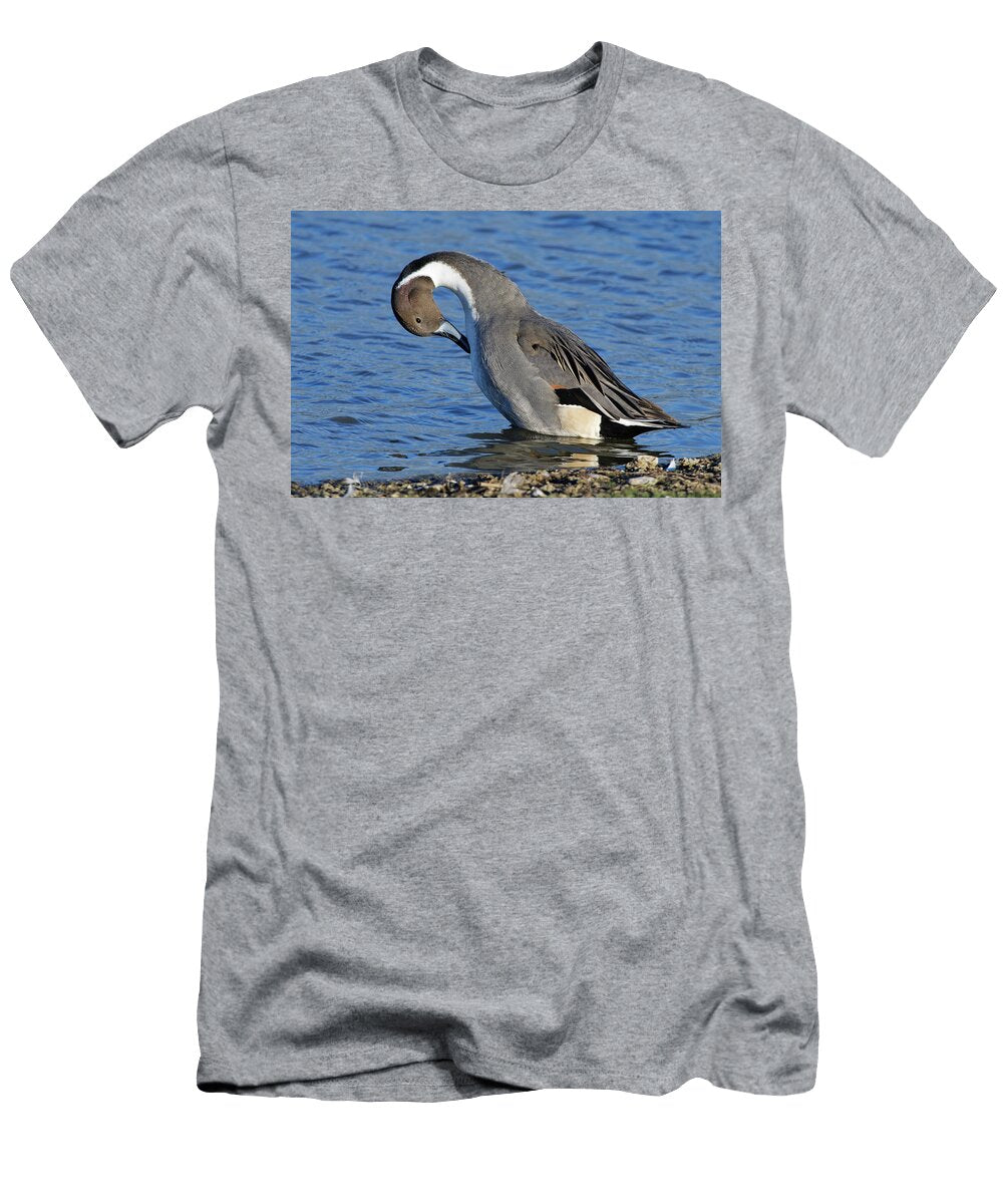 Northern Pintail Drake Preening Standing At Edge of a Nick Upton Natureplcom T-Shirt
