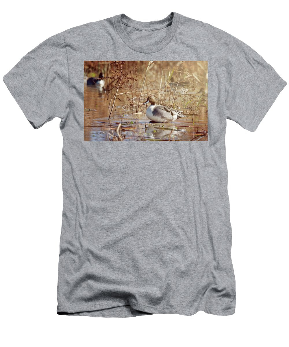Northern Pintail Iii Joan Carroll T-Shirt