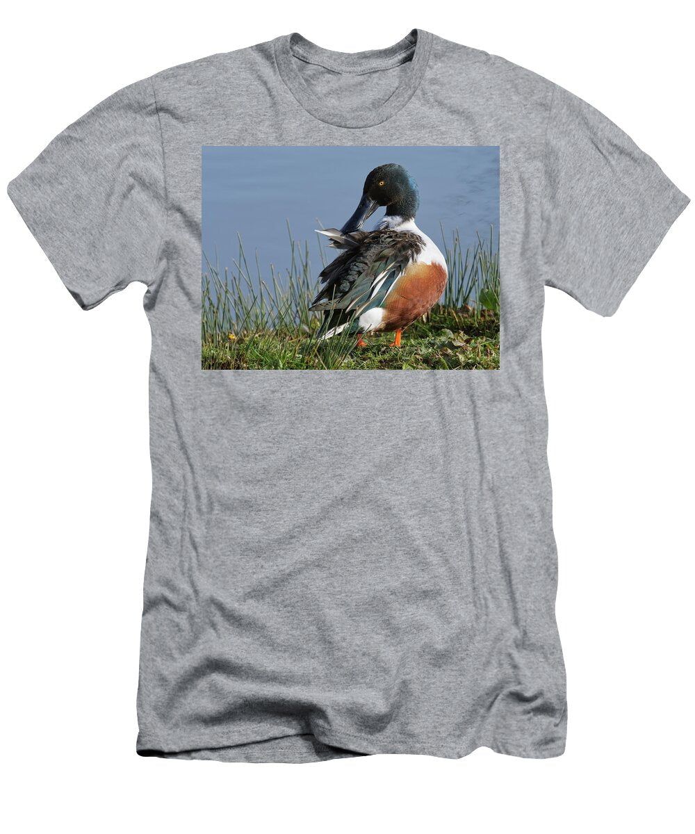 Northern Shoveler Drake Preening on the Marshy Margins of a Nick Upton Natureplcom T-Shirt