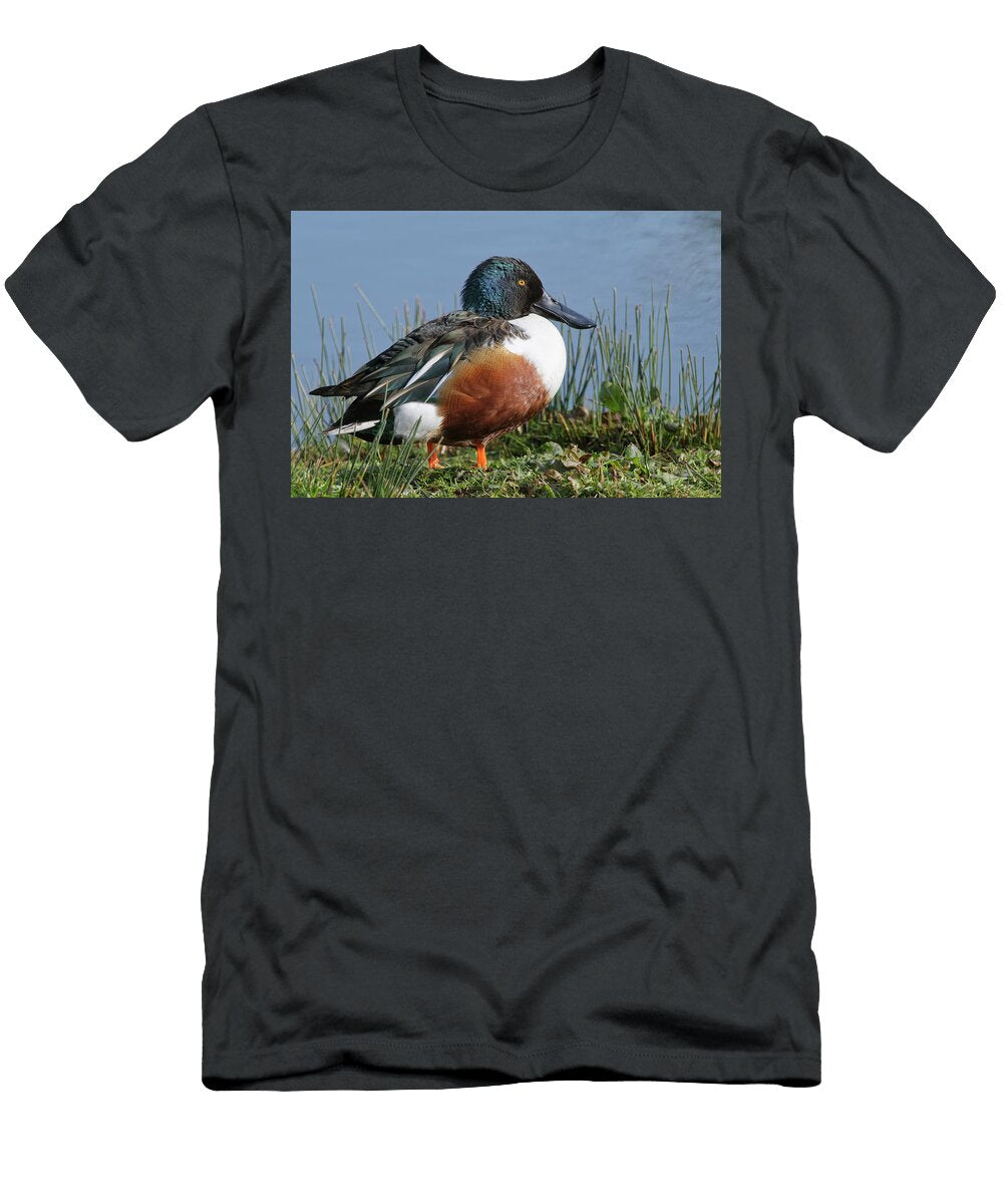Northern Shoveler Drake Resting on the Marshy Margins of a Nick Upton Natureplcom T-Shirt
