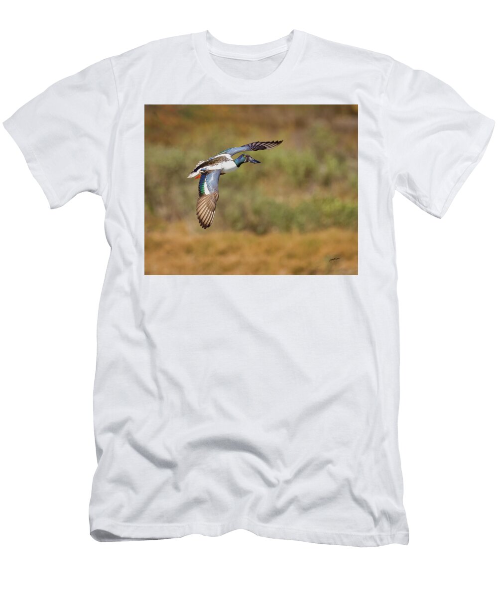 Northern Shoveler Flight Jurgen Lorenzen T-Shirt