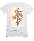 Notholirion Thomsonianum Rosy Indian Lily Lilium Roseum European School T-Shirt