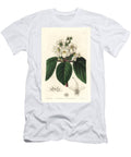 Oblong Snow Wort Niphaea Oblonga European School T-Shirt