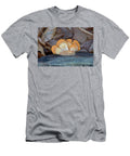 Orange Banded Bracket Fungi Douglas Barnett T-Shirt