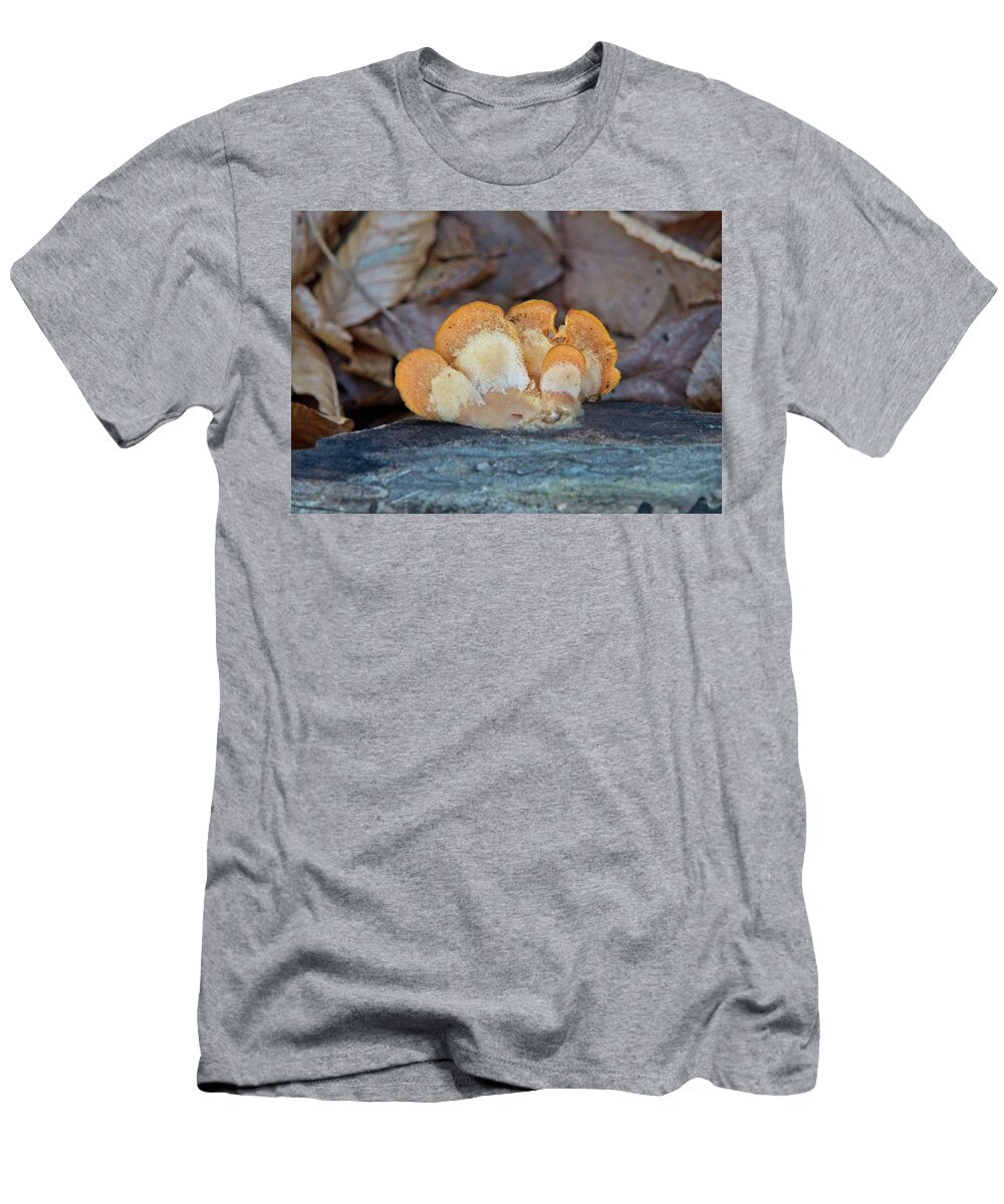 Orange Banded Bracket Fungi Douglas Barnett T-Shirt