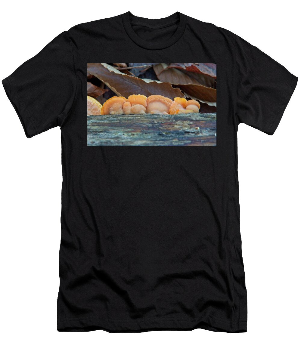 Orange Bracket Fungi Along a Log Douglas Barnett T-Shirt
