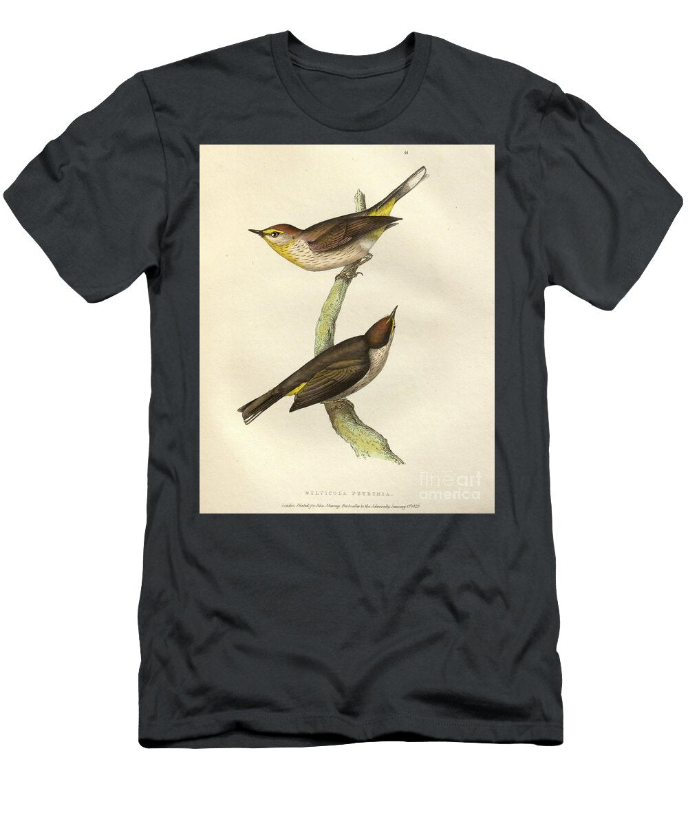 Orange Crowned Warbler Sylvicola Petechia O1 Historic Illustrations T-Shirt