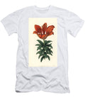 Orange Lily or Bulbifere Fire Lily Lilium Bulbiferum Blood Red Lily Lilium Sanguineum European School T-Shirt