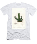 Orchid Angraecum Variety Native of Equatorial Africa Sydenham Teast Edwards T-Shirt