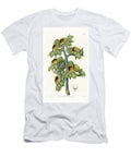 Orchid Casatetum Variety Native of Brazil Sydenham Teast Edwards T-Shirt
