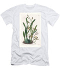 Orchid Epidendre Grele Sydenham Teast Edwards T-Shirt