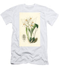 Orchid Variete Coelogyne Nitida Orchid Ochre Spotted Coelogyne Coelogyne Ochracea European School T-Shirt
