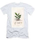 Orchid Variete De Camphylocentrum Sydenham Teast Edwards T-Shirt