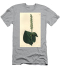Orchid Variete Gennaria Diphylla Heart Leaved Herminium Herminium Cordatum Sydenham Teast Edwards T-Shirt