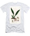Orchid Variete of Macradenia Native of Guiana Sydenham Teast Edwards T-Shirt