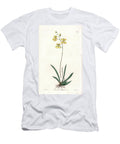 Orchid Variete Tolumnia Guianensis Endemic to Haiti and Santo Domingo Sydenham Teast Edwards T-Shirt