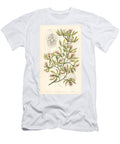 Orchid Variety Ambiguous Encyclia Orchid Encycloa Ambigua Winged Epidendrum Epidendrum Alatum European School T-Shirt