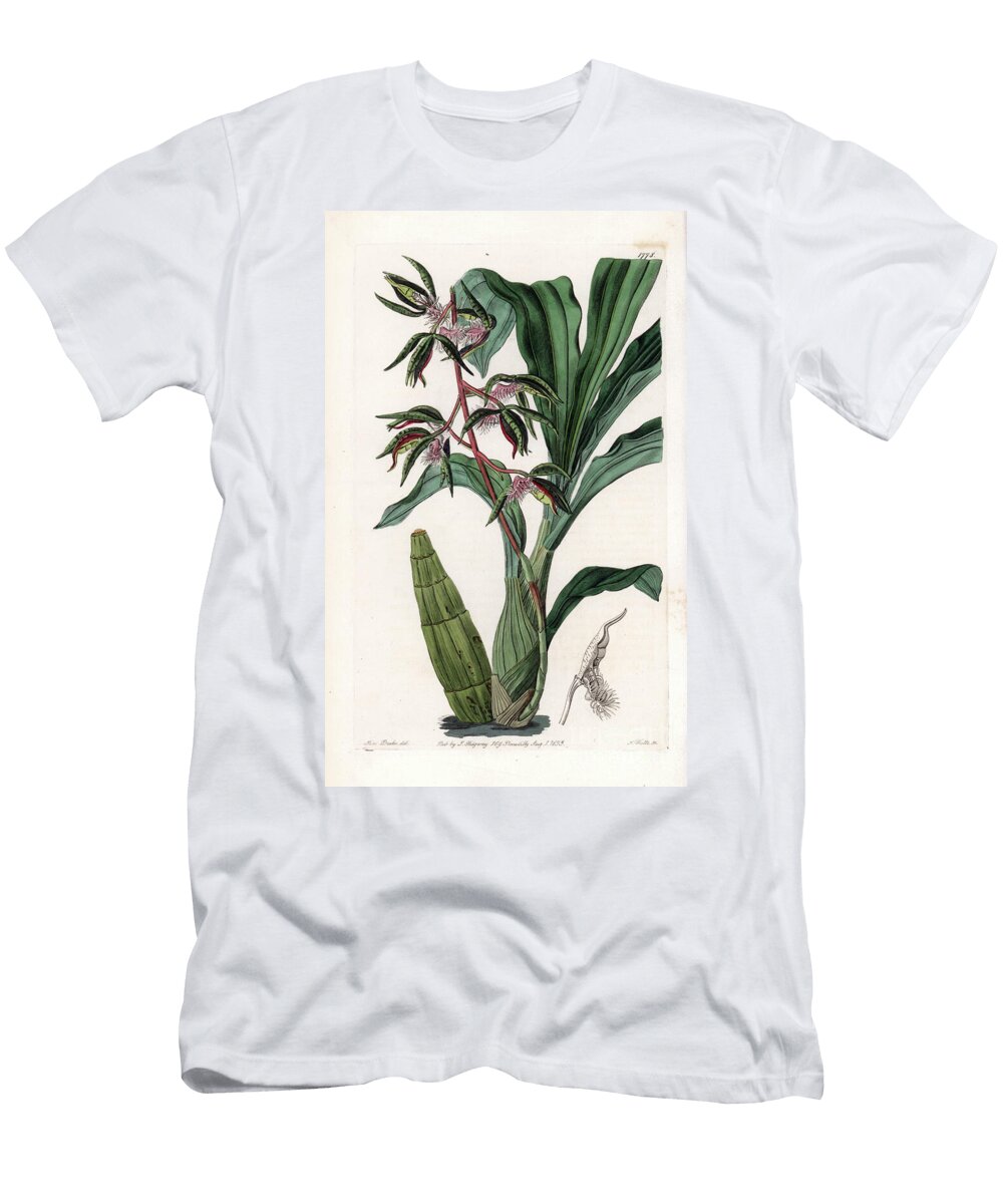 Orchid Variety of Catasetum Called Bearded Sydenham Teast Edwards T-Shirt