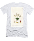 Orchid Variety of Epidendre Sydenham Teast Edwards T-Shirt
