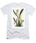 Orchid Variety of Oncydium Native of South America Sydenham Teast Edwards T-Shirt