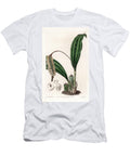Orchid Variety of Pholidota Native of Asia Sydenham Teast Edwards T-Shirt