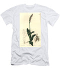 Orchidee Neotine Dense Flowered Orchid Neotinea Maculata One Sized Aceras Aceras Secundiflora Sydenham Teast Edwards T-Shirt