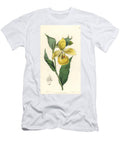Orchidee Pelican Irapeaos Cypripedium Orchid Irapean Ladys Slipper or Pelican Flower Cypripedium Irapeanum European School T-Shirt