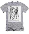 Organisms Under Microscope K10 Historic Illustrations T-Shirt
