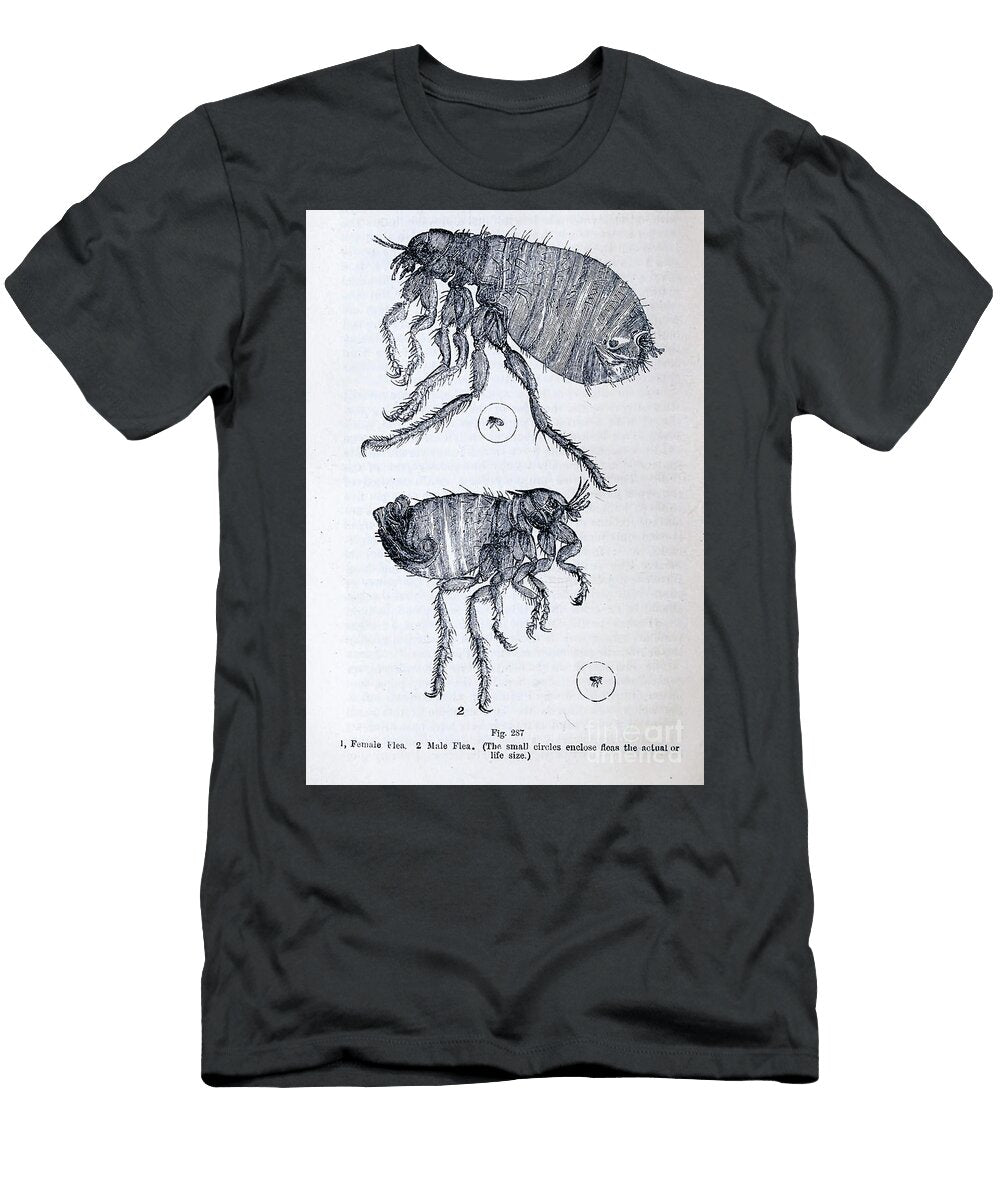 Organisms Under Microscope K11 Historic Illustrations T-Shirt