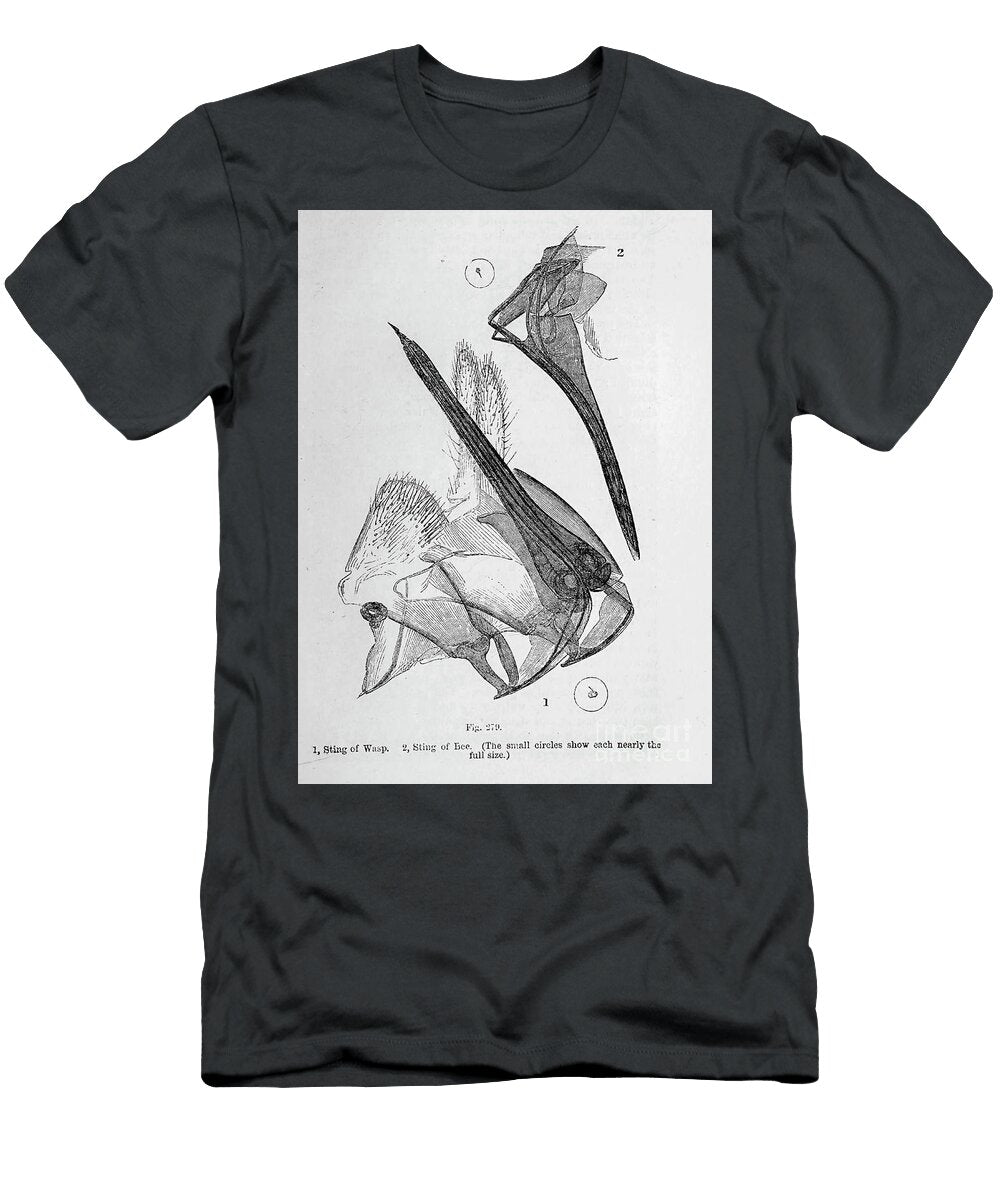 Organisms Under Microscope K13 Historic Illustrations T-Shirt